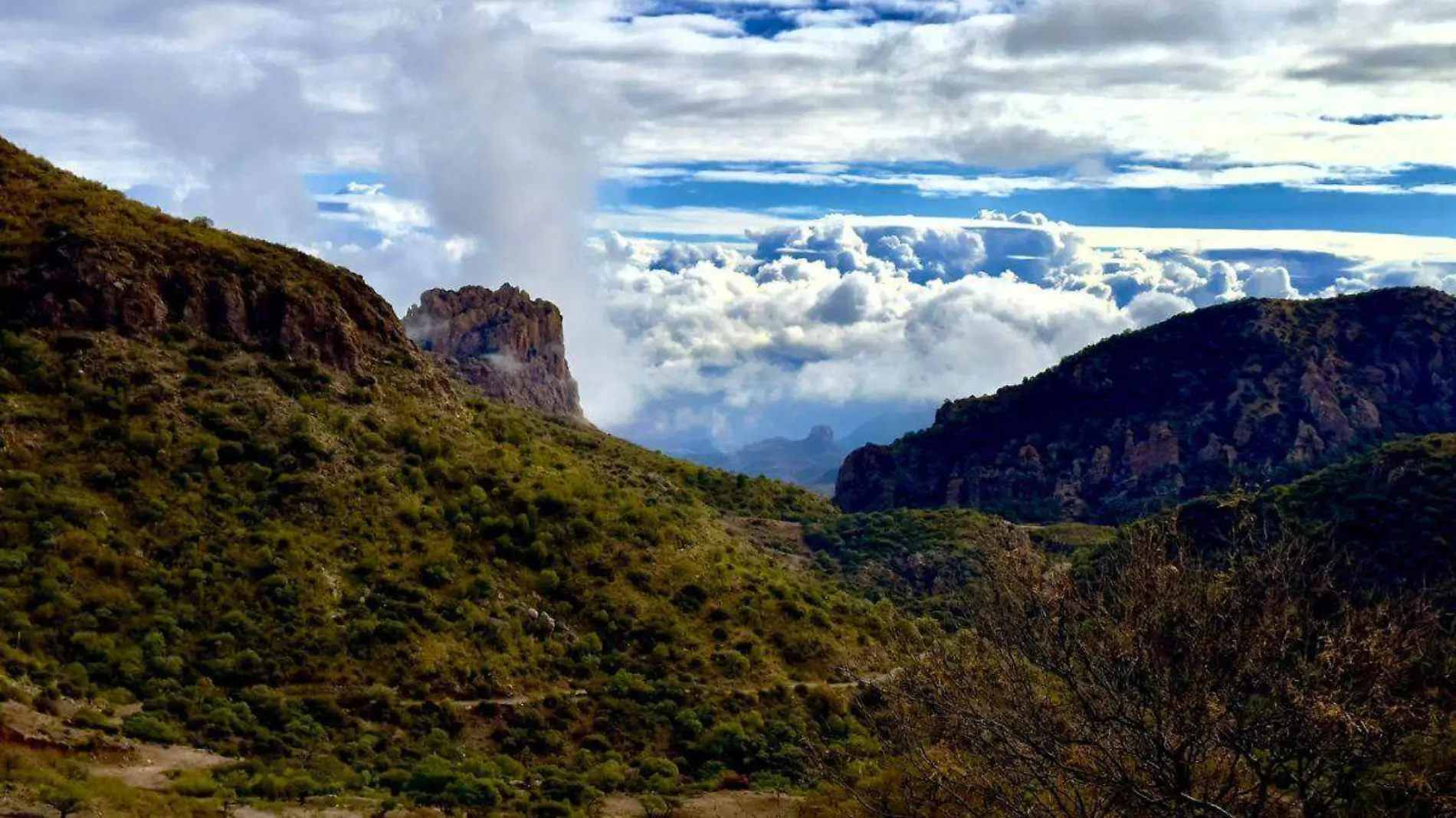 El Globo, Nacozari - Sonora Querida